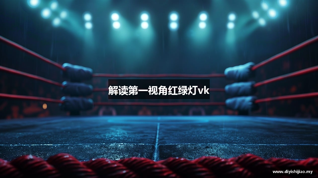 解读第一视角红绿灯vk